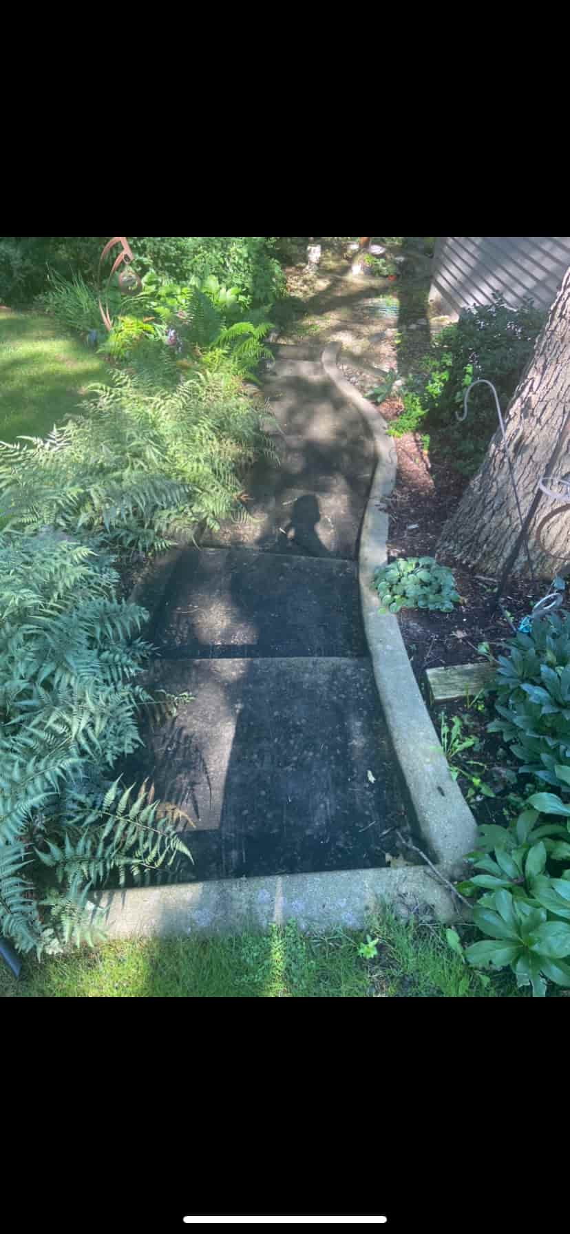 Backyard Step Cleaning