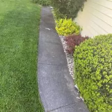 Driveway cleaning 3