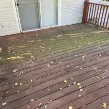 Deck Softwashing 0