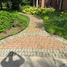 Paver Patio Cleaning and Sanding 7